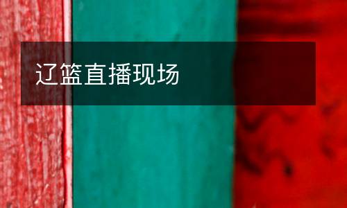 遼籃直播現(xiàn)場