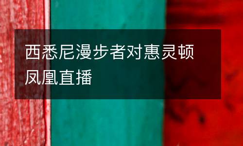 西悉尼漫步者對(duì)惠靈頓鳳凰直播